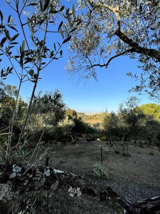Villa Maria, Casa Rural En Cazalla De La Sierra. Buitenkant foto